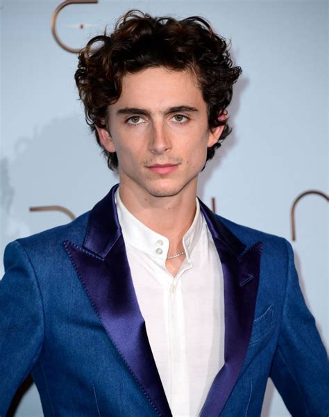 what did timothee chalamet do.